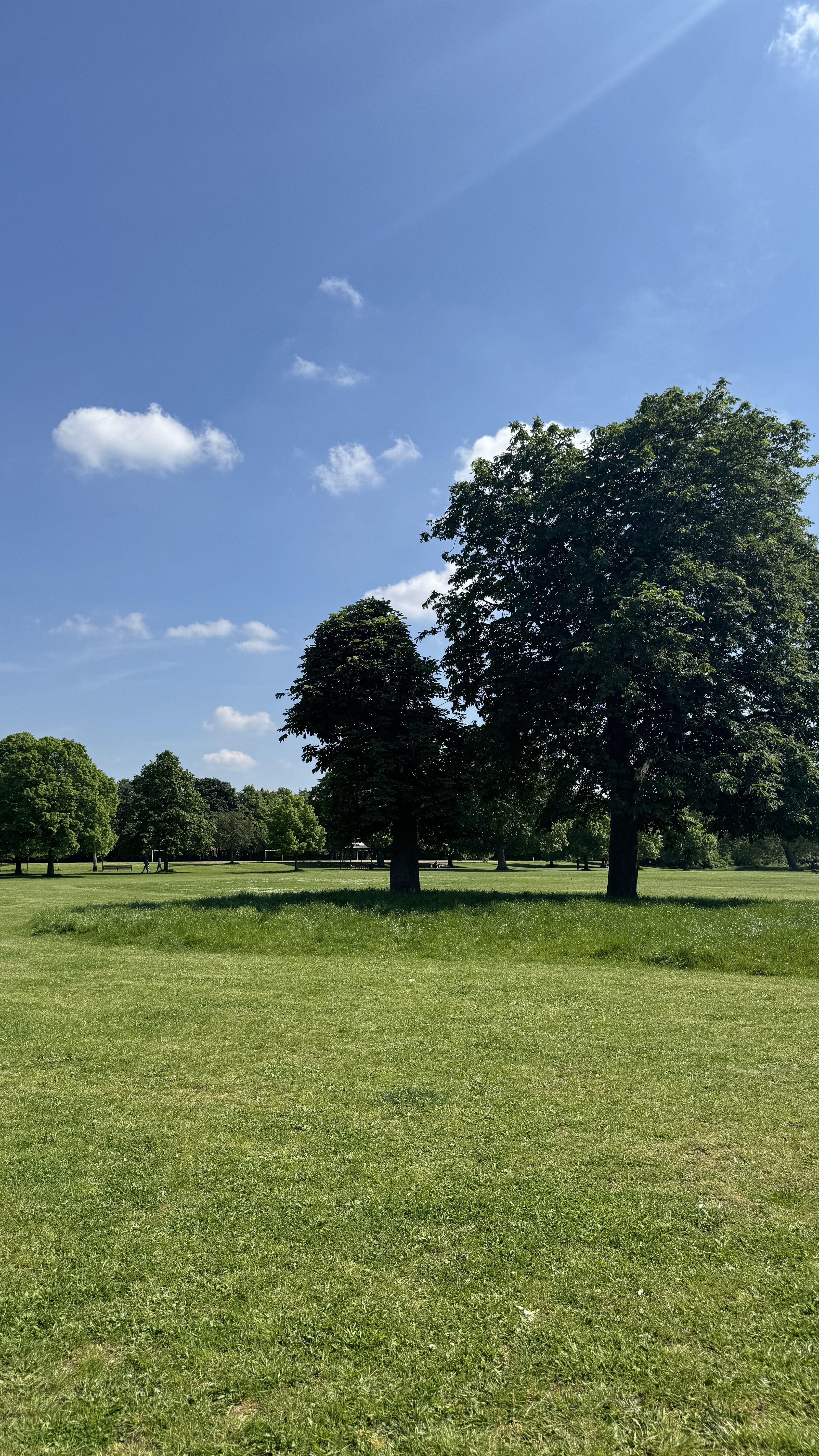 Open grass and trees under a blue sky in West Ham Park