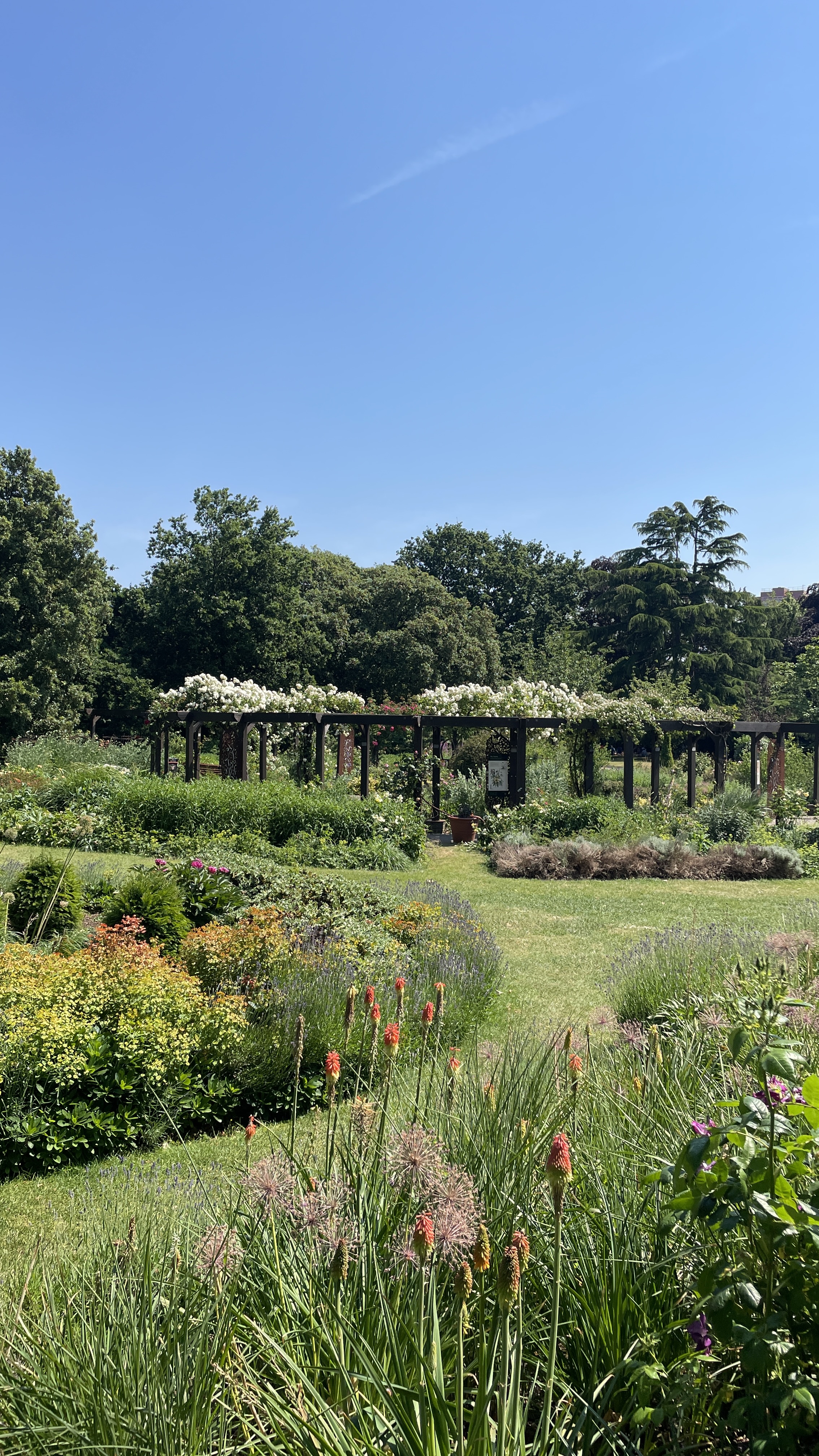 Colourful summer planting in the West Ham Park gardens