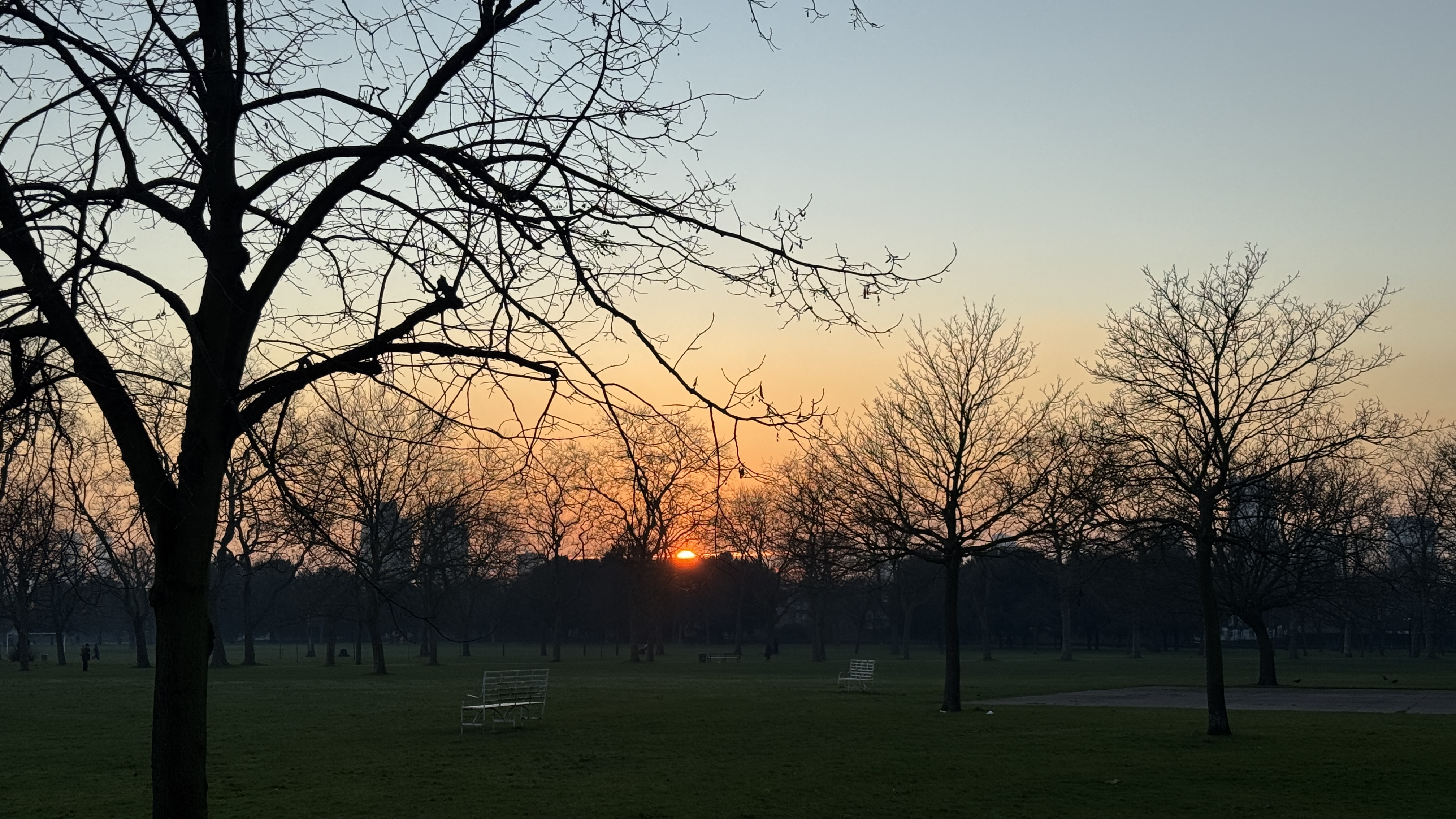 Sunset through bare trees across West Ham Park
