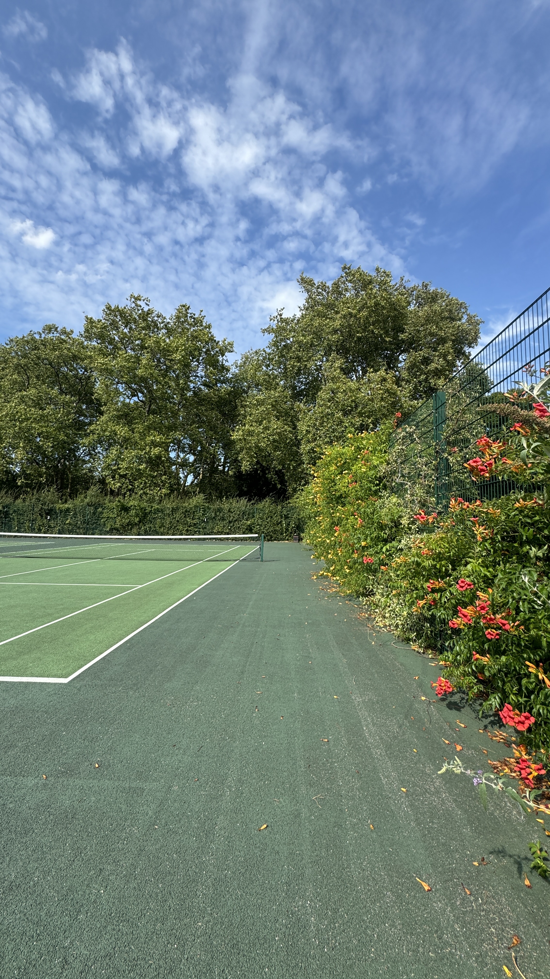 A sunny tennis court edged with flowers and trees in West Ham Park
