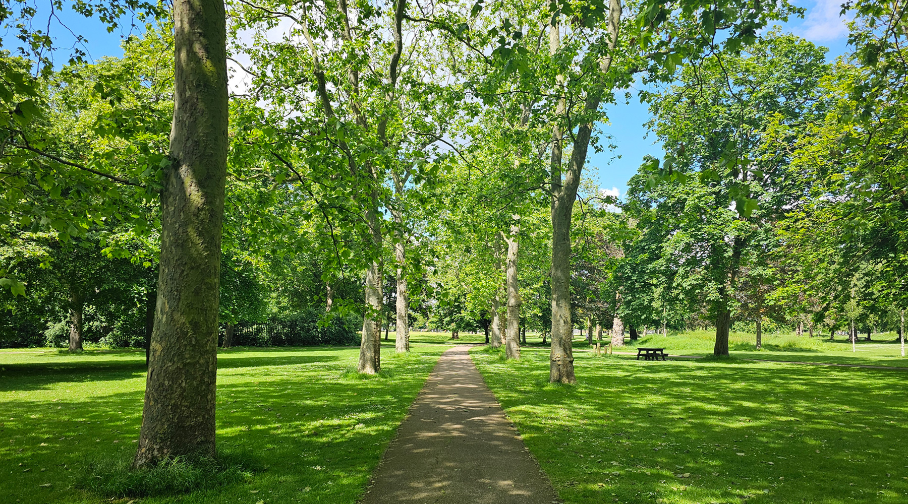 A leafy tree-lined path through West Ham Park